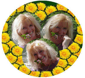 Die Bilder Show der Blumenfee. Einige Bilder aus meinem Leben