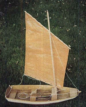 model of Puntx.jpg (94859 bytes)