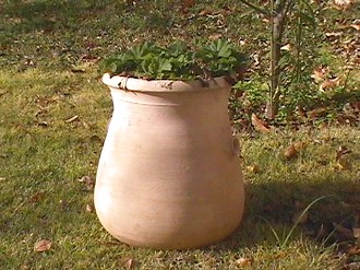 big planter