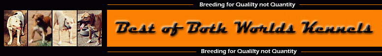 Best Of Both Worlds Kennels - Breeding for Quality not Quantity