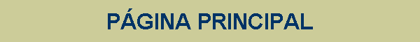 P�GINA PRINCIPAL