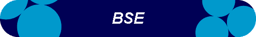  BSE 