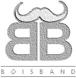 Quem s�o os Boisband?
