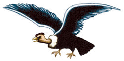 ::..  Condor  ..::