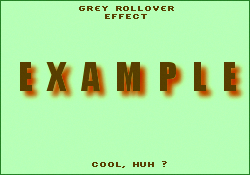 Grey Rollover