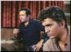 Photo Number 13
