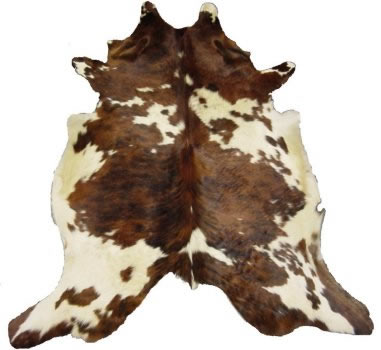 11g
