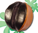 Coin Pures : # 9702