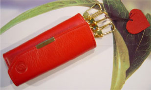 Key Chain : # 224