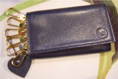 Key Chain : # 243
