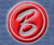 Boonyaco  Logo