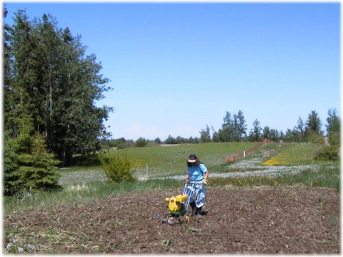 rototiller