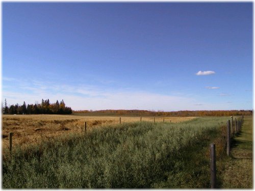 farm photo