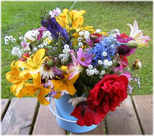 Fresh flowers