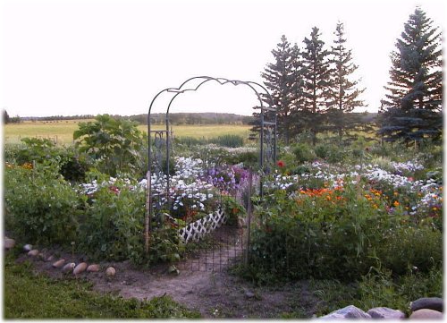Flower garden