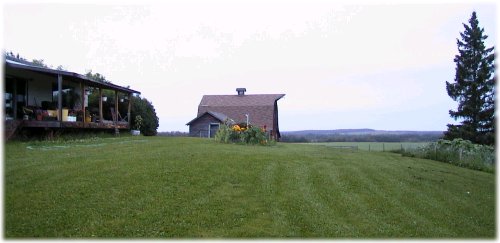 Front Yard