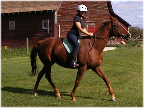Trotting