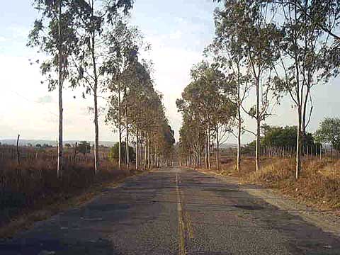 Entrada da Cidade
