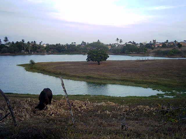 Lagoa Salom�