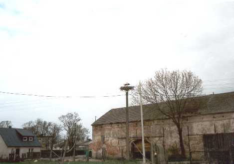 Bociany 2003 (1)