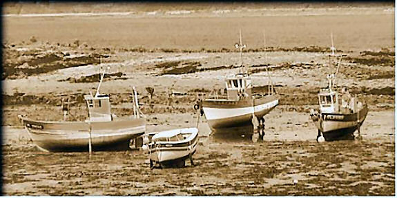 Locqu&eacute;meau port (at low tide).