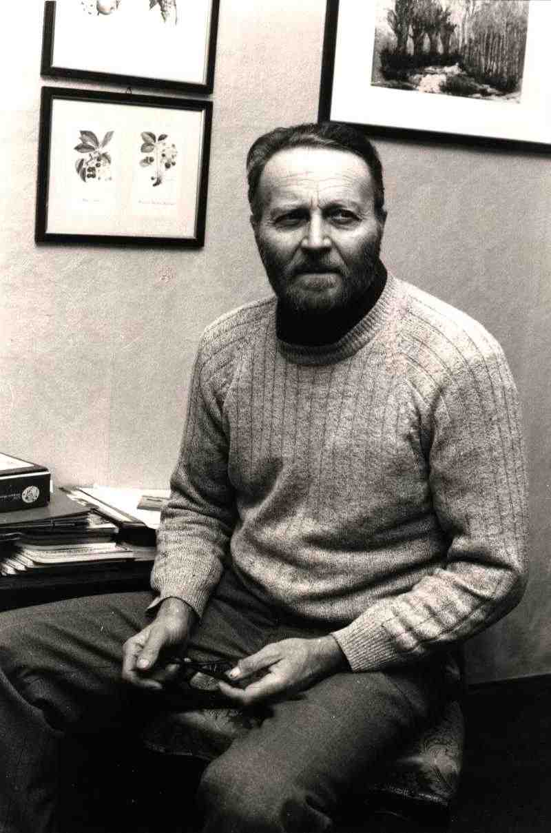Enzo Sonato