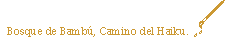 Camino del Haiku
