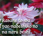 Oku no Hosomichi
