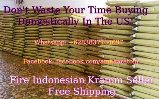 thai kratom speciosa