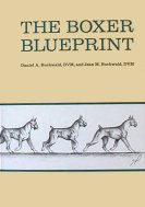 Boxer Blueprint