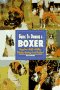 Guide To Owning A Boxer