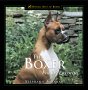 The Boxer: Family Favorite