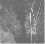 the sinkhole cave