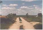 the driveway