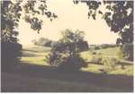 the south pasture