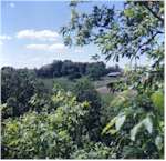 A view of the farm