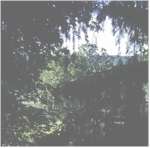 View from my window