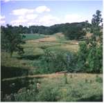 North Pasture