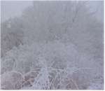 a frosty morning
