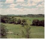 view of south pasture