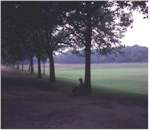 In the Rehberge park