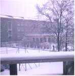 Snow at TCA