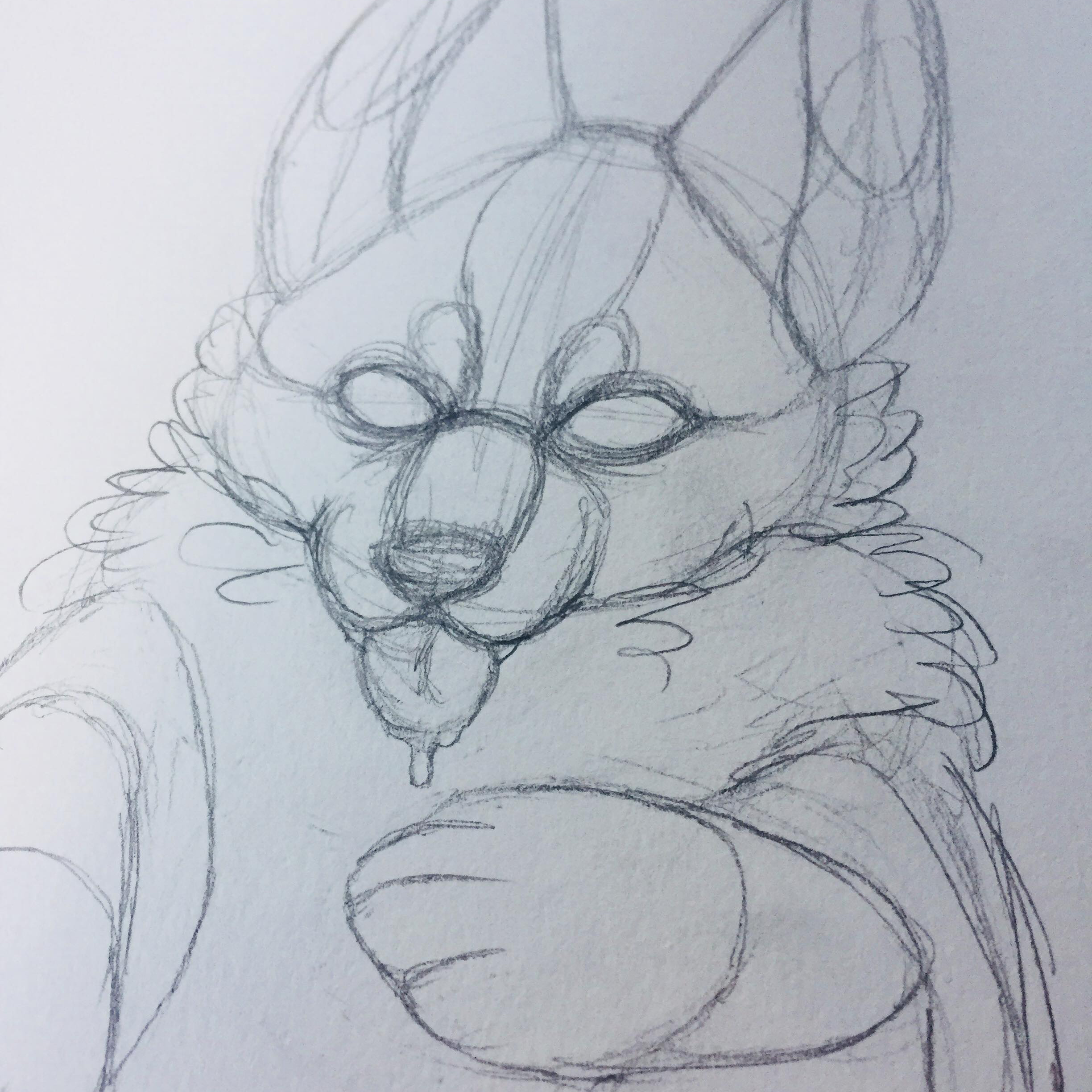 fox