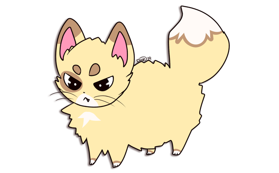 angry-kitty