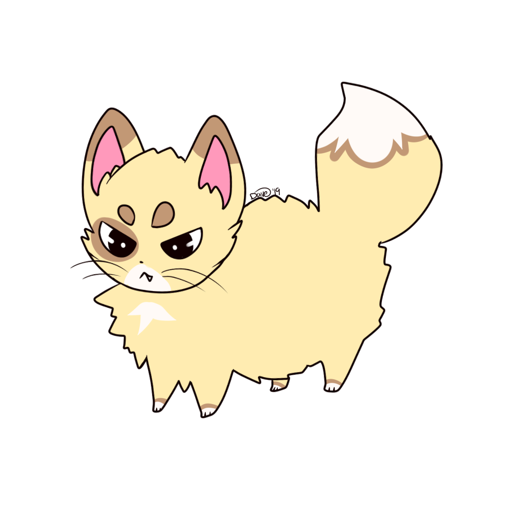 angry-kitty