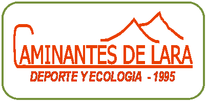 Rect�ngulo redondeado:  