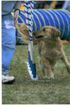 Click Here to see more pictures of Hope (and Bear, too)!