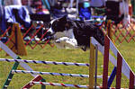 Click Here to see more pictures of Thriller!