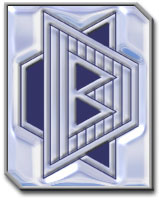Braich Inc.