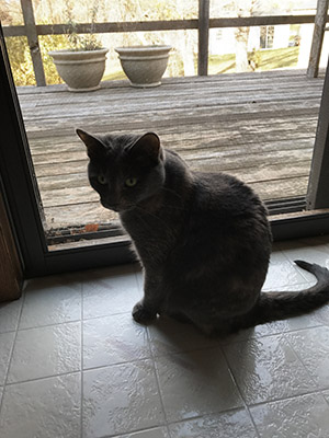 Coco